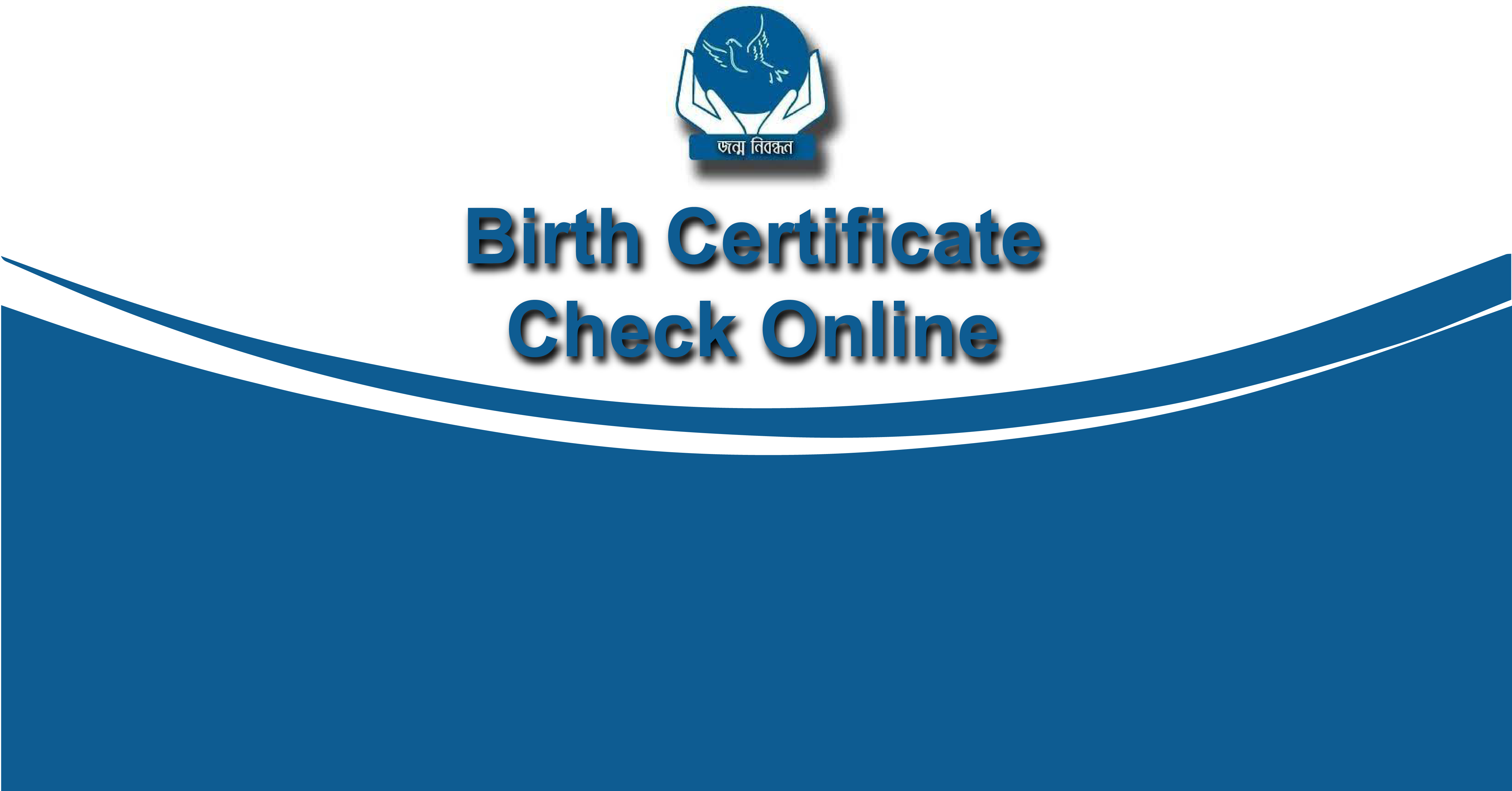 birth certificate check online